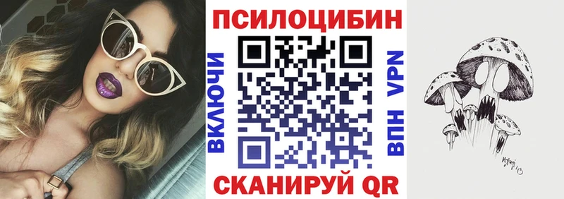 Псилоцибиновые грибы GOLDEN TEACHER  купить   Апшеронск 